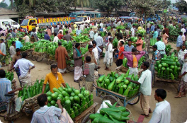 farmers of bangladesh